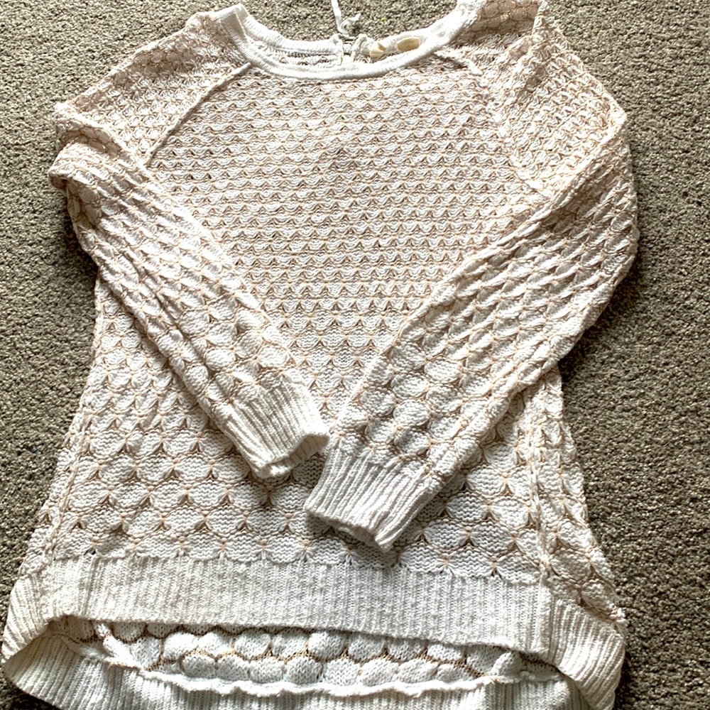 Beautiful Moth Sweater Tunic
